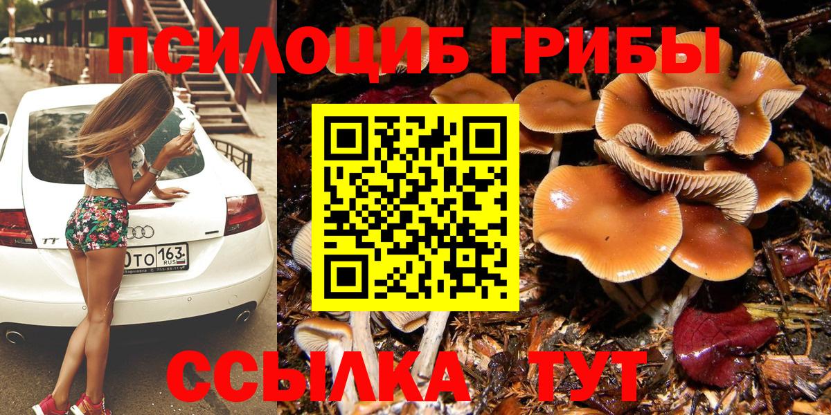 Галлюциногенные грибы Psilocybe  Вход с VPN  Псилоцибиновые грибы Cubensis  Усть-Илимск 